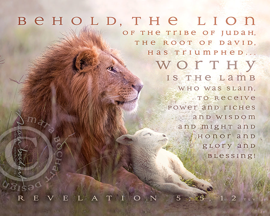 Behold Lion Lamb - notecard