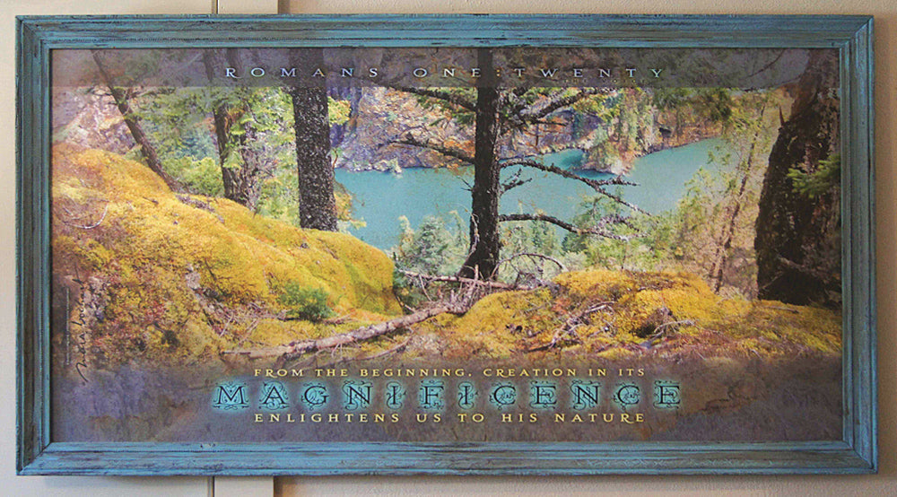 Magnificence - framed 51x27