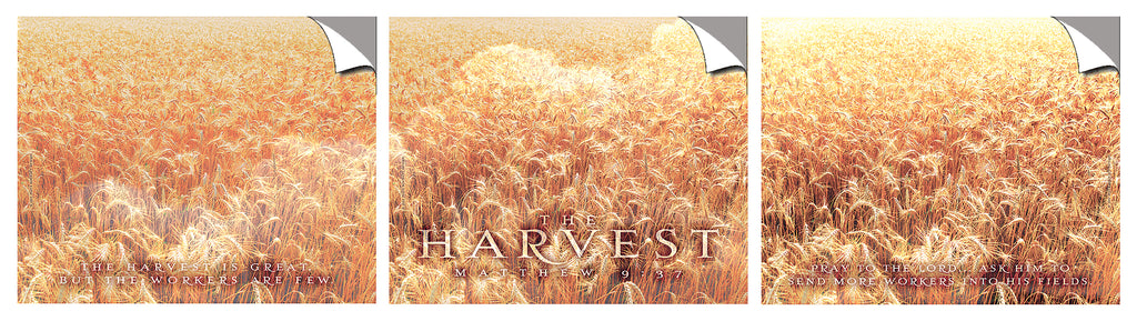 The Harvest - triptych - Peel & Stick