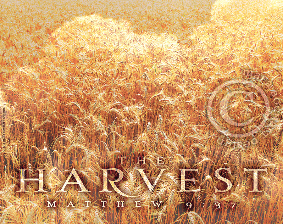The Harvest - frameable print
