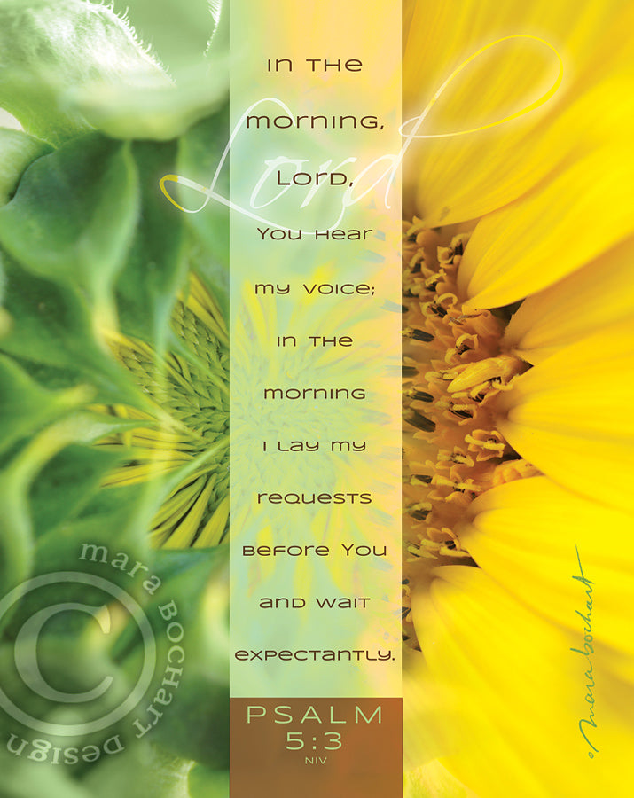 In The Morning - frameable print