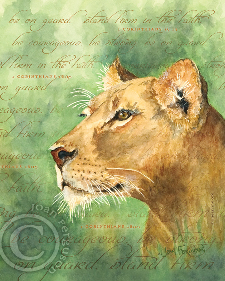 Lioness - premium canvas