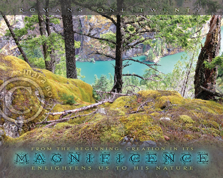 Magnificence - premium canvas