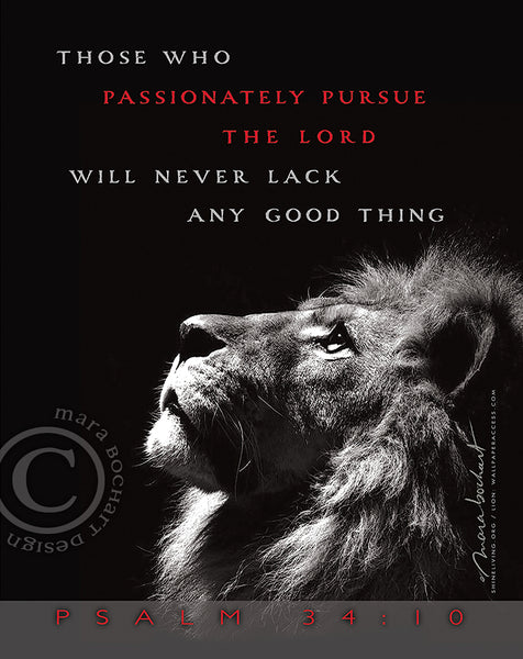 Passionately Pursue