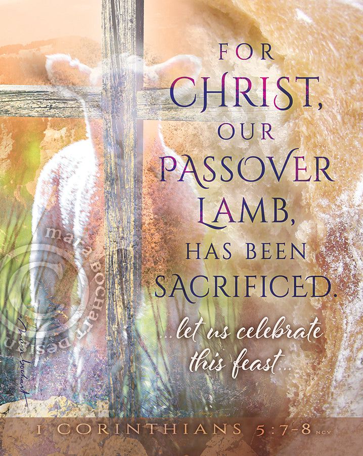 Passover Lamb - premium canvas