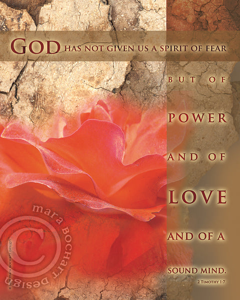 Rose No Fear - notecard - Shine Living